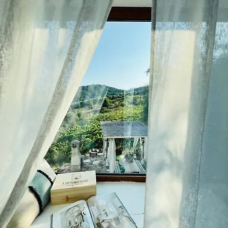 Casa vacanze Lucca In Love *