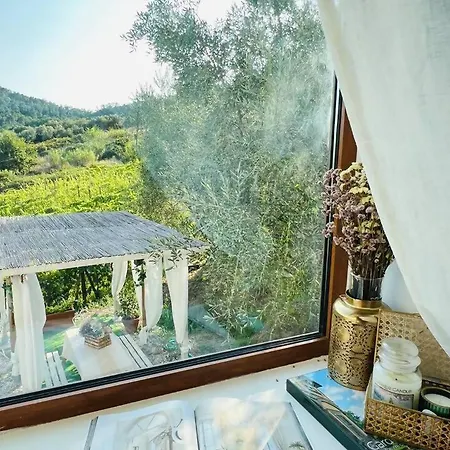 Casa vacanze Lucca In Love *
